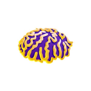 Gold and Purple Cactus Coral